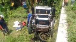 Kuda Tak Bisa Dikendalikan, Delman Terperosok ke Parit Sedalam 3 Meter di Bantul<