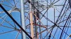Bocah di Mamuju Tengah Naik Tower Setinggi 40 Meter, Dibujuk HP agar Mau Turun
