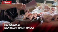 Jelang Lebaran, Harga Ayam dan Telur Terpantau Masih Tinggi di Pasar Cakung