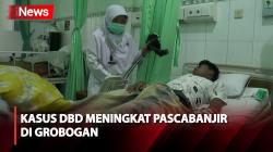 Waspada, Pascabanjir Grobogan Kasus DBD Meningkat Tajam, 6 Anak Meninggal