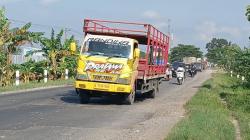 Berlubang Rawan Kecelakaan, Jalur Tengah Semarang-Grobogan Belum Siap untuk Pemudik