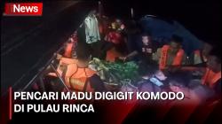 Warga Digigit Komodo saat Cari Madu di Pulau Rinca, Alami Luka di Bagian Tangan dan Kaki