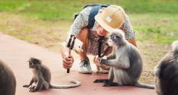 Waspada, Hong Kong Temukan Kasus Pertama Virus B yang Mematikan dari Gigitan Monyet