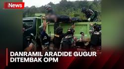 Tengah Melintas di Jalan Trans Enarotali Papua Pegunungan, Danramil Aradide Gugur Ditembak OPM