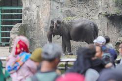 Taman Margasatwa Ragunan Ramai saat Libur Hari Kedua Lebaran 2024