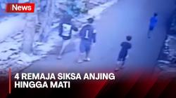 Detik-Detik 4 Remaja Siksa Anjing hingga Mati di Jember Terekam CCTV