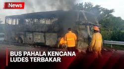 Bus Pahala Kencana Terbakar di Tol Jombang-Mojokerto, 34 Penumpang Selamat