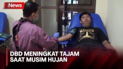 Marak DBD, Permintaan Stok Darah dan Trombosit Meningkat Tajam di Mojokerto