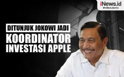 Infografis Jokowi Tunjuk Luhut Jadi Koordinator Investasi Apple di IKN