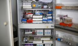 Ribuan Embrio Program Bayi Tabung di Gaza Hancur Dibom Israel, Mimpi Pasutri Punya Anak Musnah