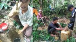 Viral Bapak-Bapak Temukan Minyak di Tengah Hutan, Netizen: Jangan Sampai Garong Elite Tahu<