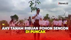 Jaga Kelestarian Lingkungan, AHY Tanam Ribuan Pohon Sengon di Kawasan Puncak