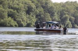 Mengunjungi Taman Wisata Alam Mangrove Angke Kapuk