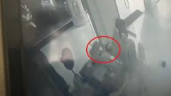 Sekuriti DPRD Tanjung Balai Diserang Beruk Terekam CCTV, Luka Cakar dan Gigitan di Kepala