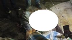 Wanita Lansia di Madina Tewas Mengenaskan Diterkam Harimau di Belakang Musala<