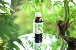 Vitasma, Inovasi Terbaru Pengobatan Herbal untuk Gangguan Pernapasan