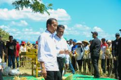 Tinjau Panen Jagung di Sumbawa, Presiden Jokowi Tekankan Keseimbangan Harga