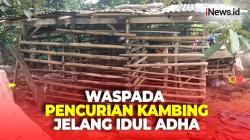 Sisakan Jeroan, 17 Kambing Warga Depok Disembelih Pencuri di Dalam Kandang
