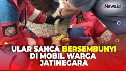 Detik-Detik Evakuasi Ular Sanca Sepanjang 5 Meter yang Bersembunyi di Mobil