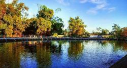 Desa di Bantul Punya Pemandangan Cantik Danau Buatan, Makin Sore Suasananya Bikin Takjub!