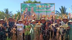 Pangdam Udayana dan Petani Panen Raya Jagung di Gunung Malang Lombok Timur<
