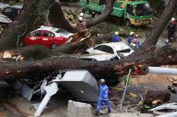 17 Mobil Tertimpa Pohon Tumbang di Kuala Lumpur, Tim SAR Evakuasi Korban Terjebak