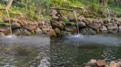 Libur Panjang, Ini Rekomendasi Tempat Wisata Bernuansa Alam Dekat Jakarta 