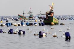 Ekosistem Laut Teluk Jakarta Terancam gegara Bagan Tancap Menjamur di Perairan Dadap