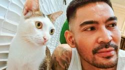Lucunya Julian, Kucing Domestik Kesayangan Robby Purba