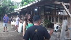 Cerita SPG Cantik Rela Jualan Kambing Kurban di Bantul, Gatal tapi Asyik