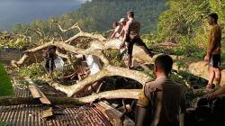 Pohon Tumbang Timpa Kantor Desa dan 3 Rumah Warga di Toba, Rusak Parah Bagian Atap