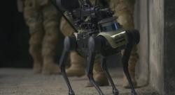 AS Waswas dengan Robot Anjing Tempur China, Bisa Jadi Ancaman Masa Depan?