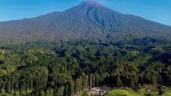 Desa di Banyumas Punya Pemandangan Hutan Cantik dan Asri, Harus Dikunjungi Sebelum Ramai!