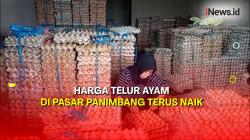 Harga Telur Ayam di Pasar Panimbang Banten Terus Naik, Tembus Rp31.000 per Kg