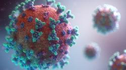 Kasus Covid-19 di Singapura Naik, Epidemiolog: Tidak Perlu Panik dan Khawatir 