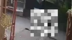 Viral Emak-Emak Diduga Jadi Korban Begal Payudara di Bojonggede Bogor