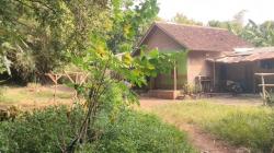 Ternyata Pegi Tak Bergaul di Lingkungan Tempat Tinggalnya tapi Sekitar TKP Pembunuhan Vina