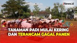 Kekeringan Melanda, Warga di Blora Gelar Salat Istisqa Minta Huja