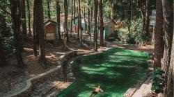 Desa di Semarang Punya Pemandangan Hutan Pinus Cantik Tengahnya Kolam Alami, Harus Dikunjungi!