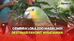 Libur Panjang Hari Raya Waisak, 10.000 Wisatawan Padati Gembira Loka Zoo Yogyakarta 