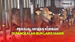 Penjual Hewan Kurban di Pangkalan Bun Mulai Banjir Pesanan Jelang Iduladha