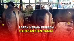 Jelang Iduladha, Lapak Hewan Kurban Dadakan Mulai Menjamur di Pemalang