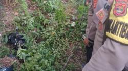 Terungkap Mayat Perempuan Berseragam Sekolah Ditemukan di Mesuji, Siswi SMK 1 Tanjung Raya<