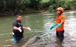 Tragis, 5 Bocah SD Tewas Tenggelam saat Mandi di Sungai Batang Asam Dharmasraya