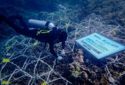 Lewat Program Grow & Green, BRI Bantu Kembangkan Potensi Wisata Daerah