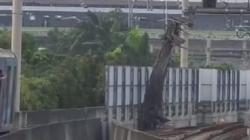 Penampakan Muatan Crane Jatuh di Jalur MRT depan Kejagung, Perjalanan Terganggu