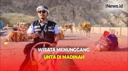 Merasakan Keliling Menunggang Unta di Lembah Jin Madinah