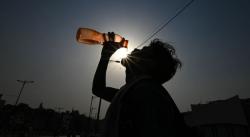 33 Orang Tewas akibat Gelombang Panas di India, Suhu Tembus 52 Derajat Celsius