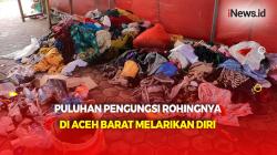 Puluhan Pengungsi Rohingya di Aceh Barat Melarikan Diri, Tenda Penampungan Kosong 