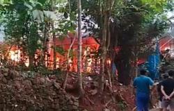 Kandang Berisi 8.000 Ekor Ayam di Bantul Ludes Terbakar, Kerugian Rp350 Juta<